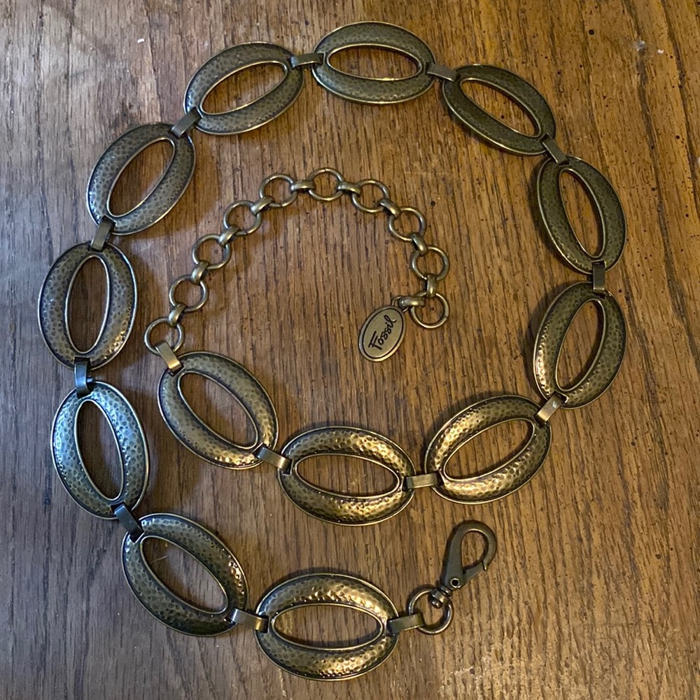 Metal fossil belt